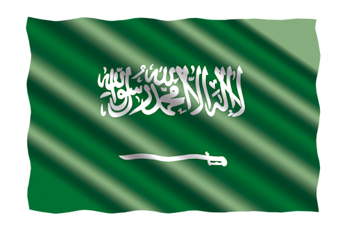 علم رؤية 2030 الاستثمار في السعودية شركة برنامج شامل